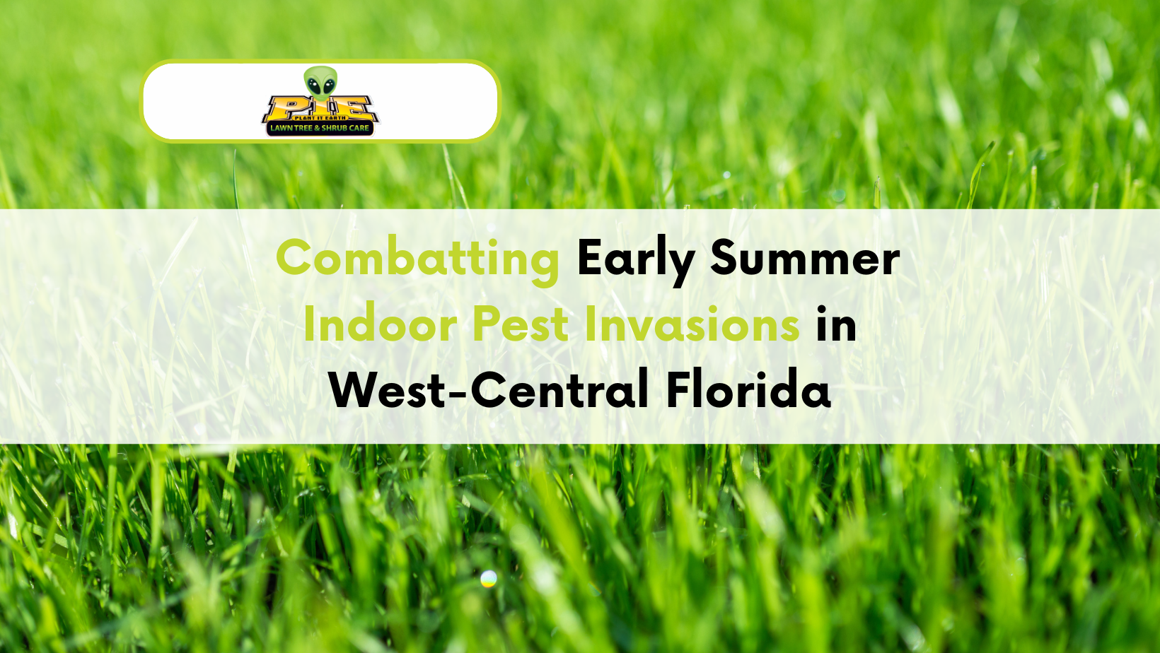 Pest Invasions