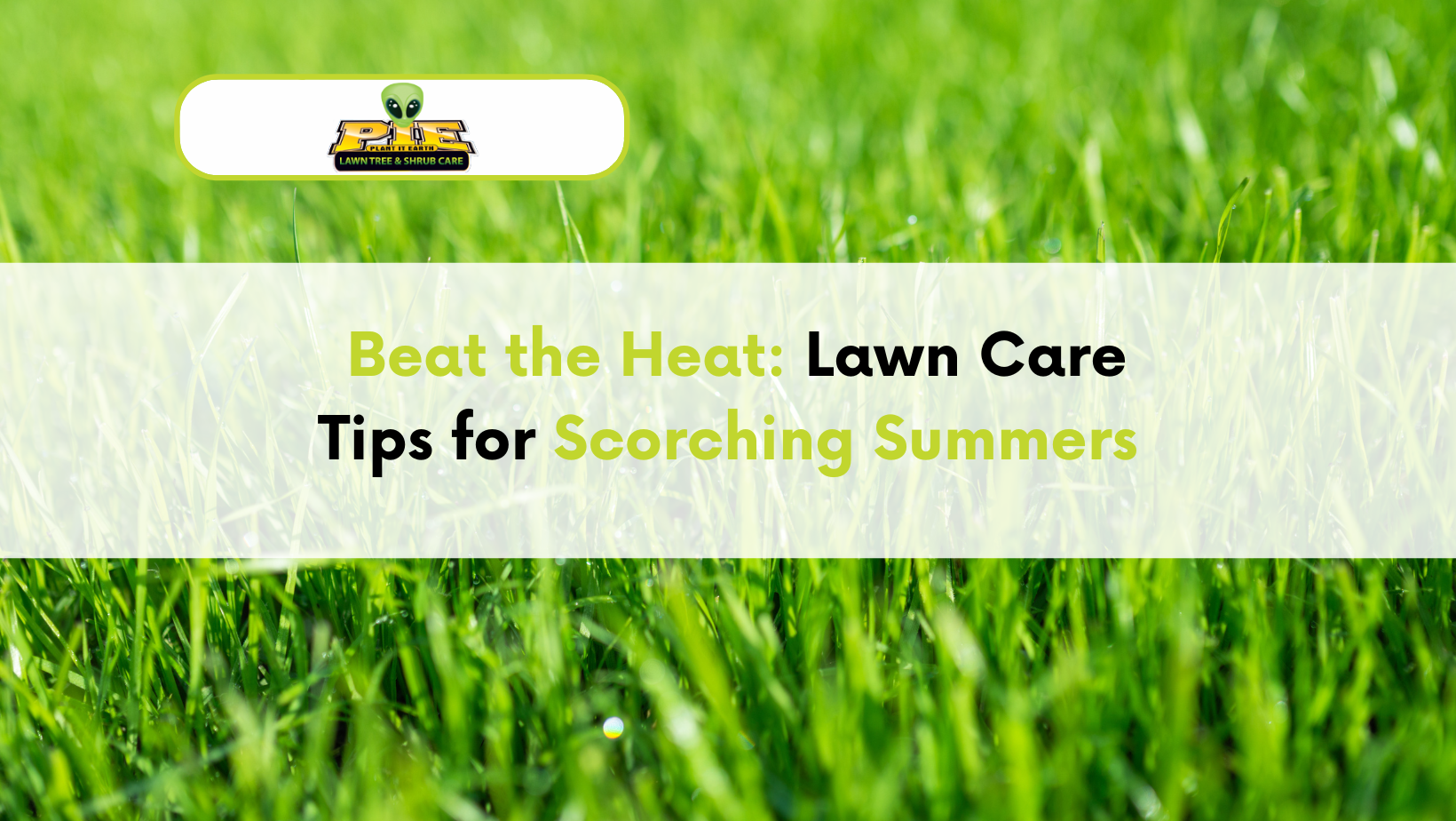 Lawn Care Tips