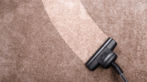 Vacuuming a carpet to remove debris and prevent pest infestations